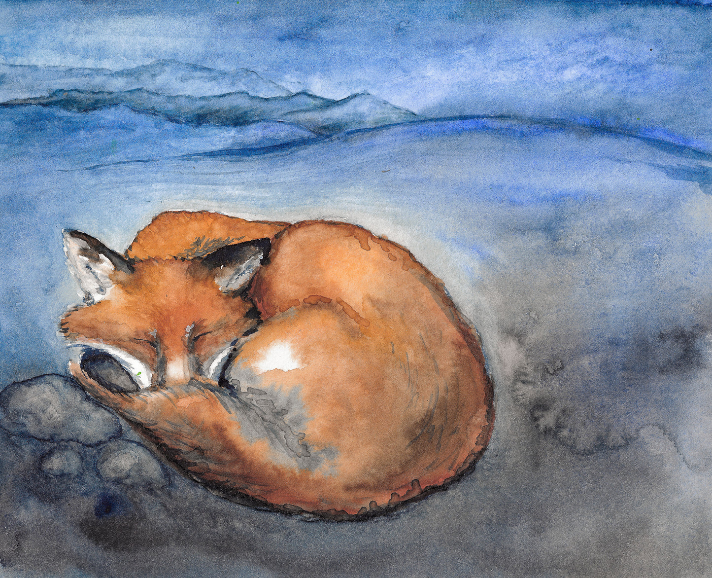 Watercolor painting of a fox sleeping on a blue and gray background