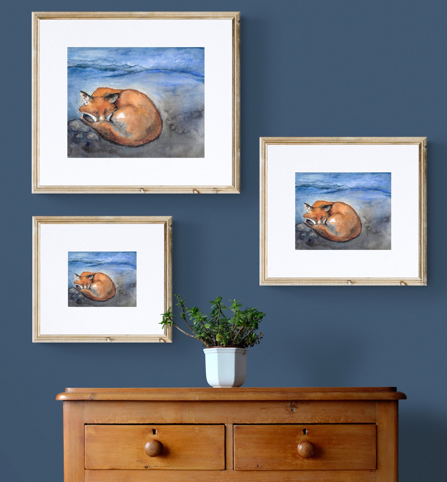 Fox Dreaming