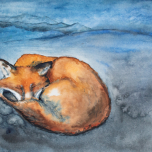 Fox Dreaming, Rosalie Kohler
